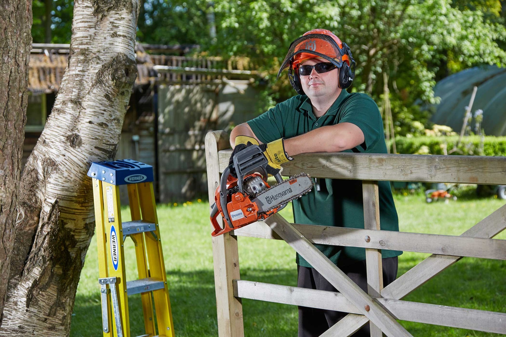 Professional tree surgery